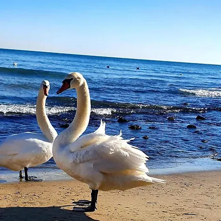 Sealovers' Nest 아파트 바르나