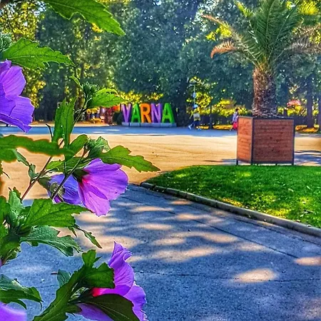 Sealovers' Nest * 바르나